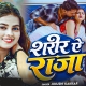 Darad Se Jujhata Sharir Ae Raja