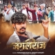 Jungle Raj