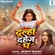 Dulha Dahej Pa