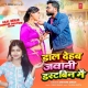 Daal Dehab Jawani Dustbin Mein